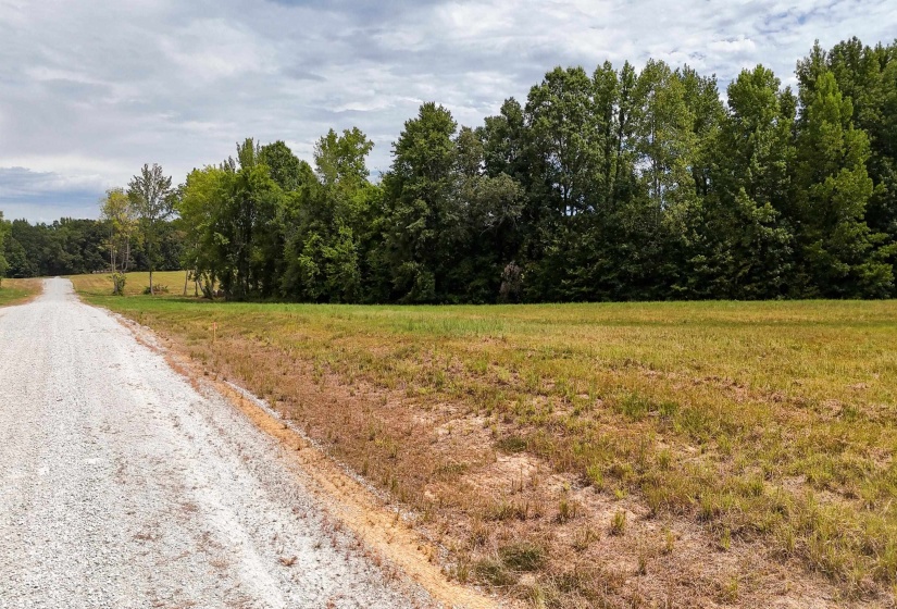 680 DUCK RD, Sugar Tree, Tennessee 38380, ,Land,For Sale,DUCK,10204896