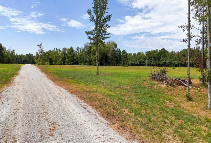 680 DUCK RD, Sugar Tree, Tennessee 38380, ,Land,For Sale,DUCK,10204896