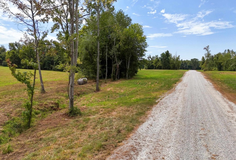 680 DUCK RD, Sugar Tree, Tennessee 38380, ,Land,For Sale,DUCK,10204896