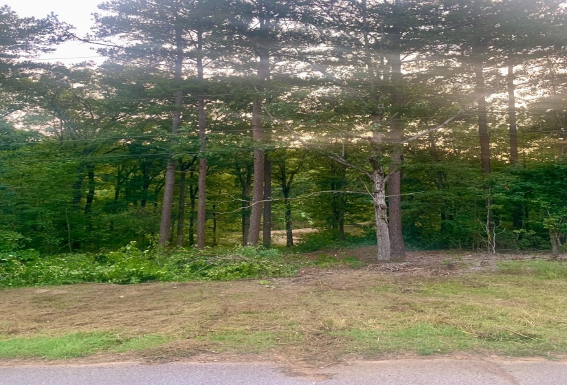 29 LAKEWOOD DR, Unicorp/Saulsbury, Tennessee 38067, ,Land,For Sale,LAKEWOOD,10205071