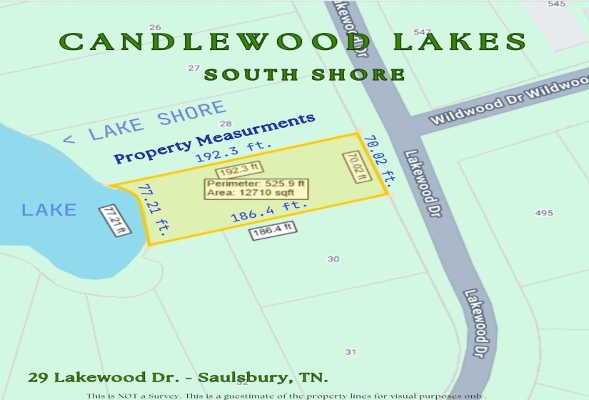 29 LAKEWOOD DR, Unicorp/Saulsbury, Tennessee 38067, ,Land,For Sale,LAKEWOOD,10205071