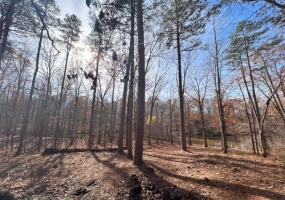 30 LAKEWOOD DR, Unicorp/Saulsbury, Tennessee 38067, ,Land,For Sale,LAKEWOOD,10205072