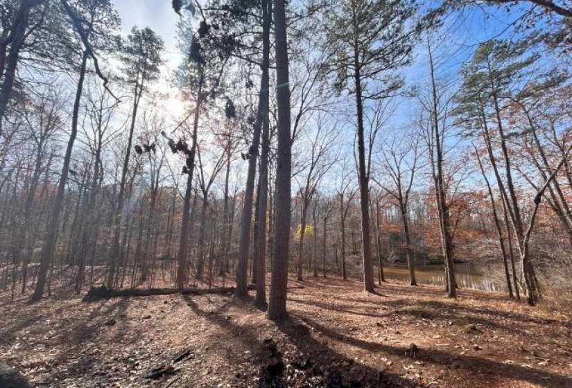 30 LAKEWOOD DR, Unicorp/Saulsbury, Tennessee 38067, ,Land,For Sale,LAKEWOOD,10205072