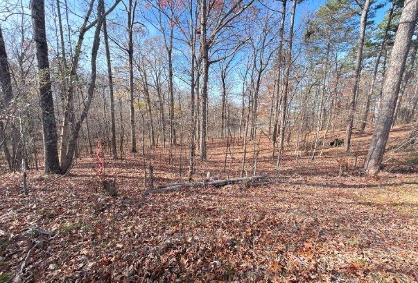 30 LAKEWOOD DR, Unicorp/Saulsbury, Tennessee 38067, ,Land,For Sale,LAKEWOOD,10205072