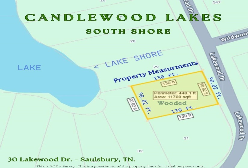 30 LAKEWOOD DR, Unicorp/Saulsbury, Tennessee 38067, ,Land,For Sale,LAKEWOOD,10205072