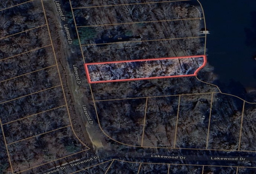 66 LAKEWOOD DR, Unicorp/Saulsbury, Tennessee 38067, ,Land,For Sale,LAKEWOOD,10205076
