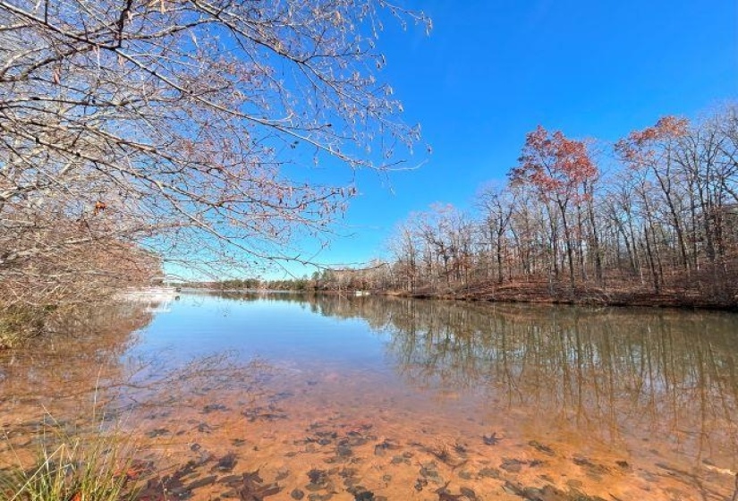 66 LAKEWOOD DR, Unicorp/Saulsbury, Tennessee 38067, ,Land,For Sale,LAKEWOOD,10205076