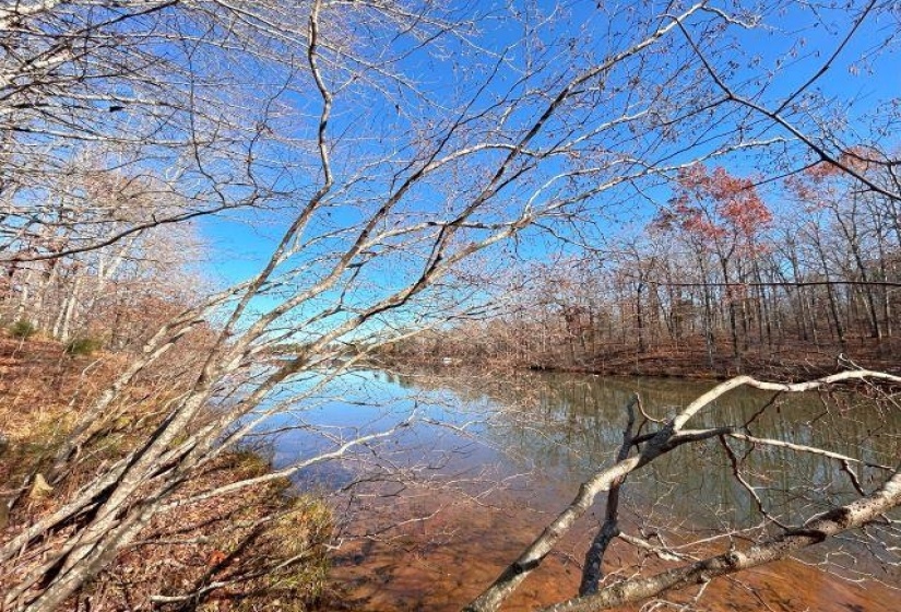 66 LAKEWOOD DR, Unicorp/Saulsbury, Tennessee 38067, ,Land,For Sale,LAKEWOOD,10205076