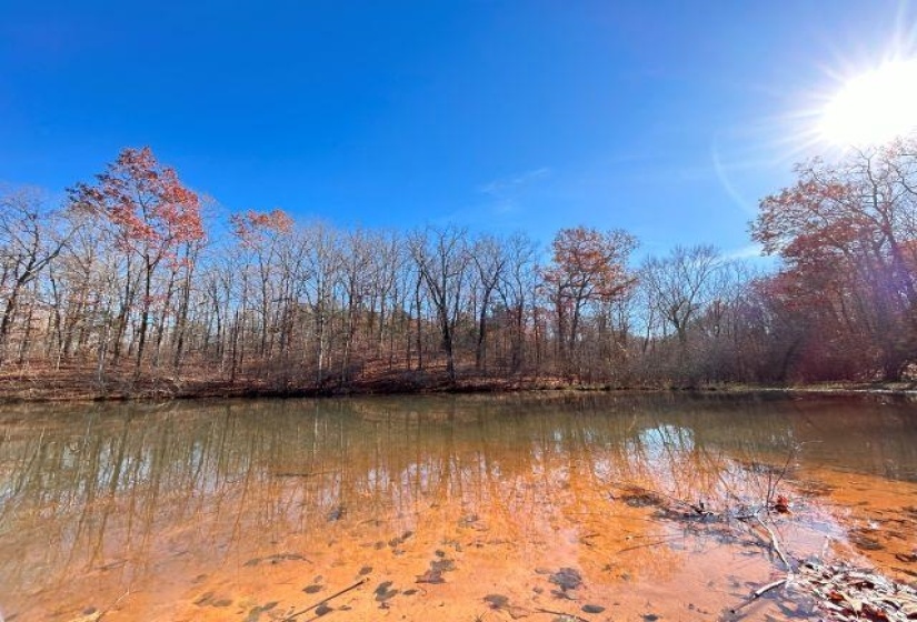 66 LAKEWOOD DR, Unicorp/Saulsbury, Tennessee 38067, ,Land,For Sale,LAKEWOOD,10205076