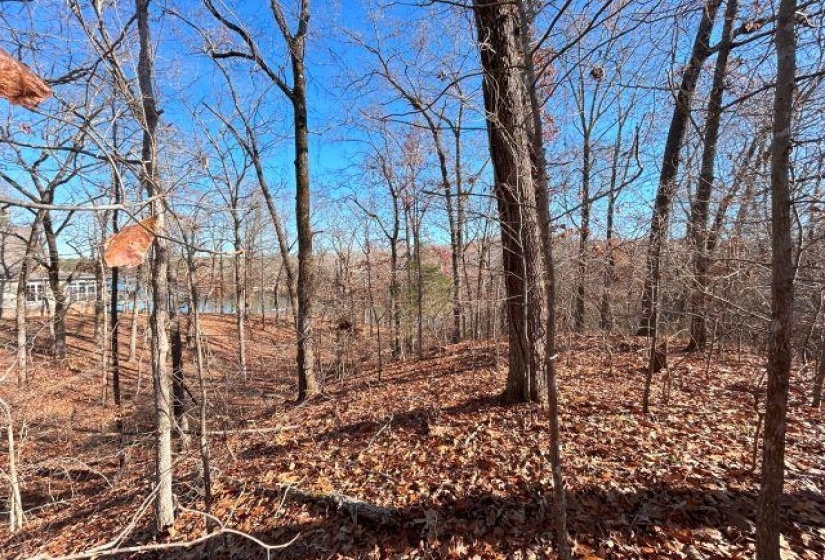 66 LAKEWOOD DR, Unicorp/Saulsbury, Tennessee 38067, ,Land,For Sale,LAKEWOOD,10205076