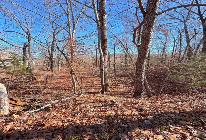 66 LAKEWOOD DR, Unicorp/Saulsbury, Tennessee 38067, ,Land,For Sale,LAKEWOOD,10205076