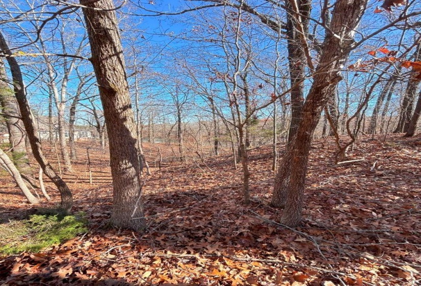 66 LAKEWOOD DR, Unicorp/Saulsbury, Tennessee 38067, ,Land,For Sale,LAKEWOOD,10205076