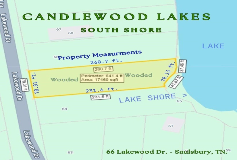 66 LAKEWOOD DR, Unicorp/Saulsbury, Tennessee 38067, ,Land,For Sale,LAKEWOOD,10205076