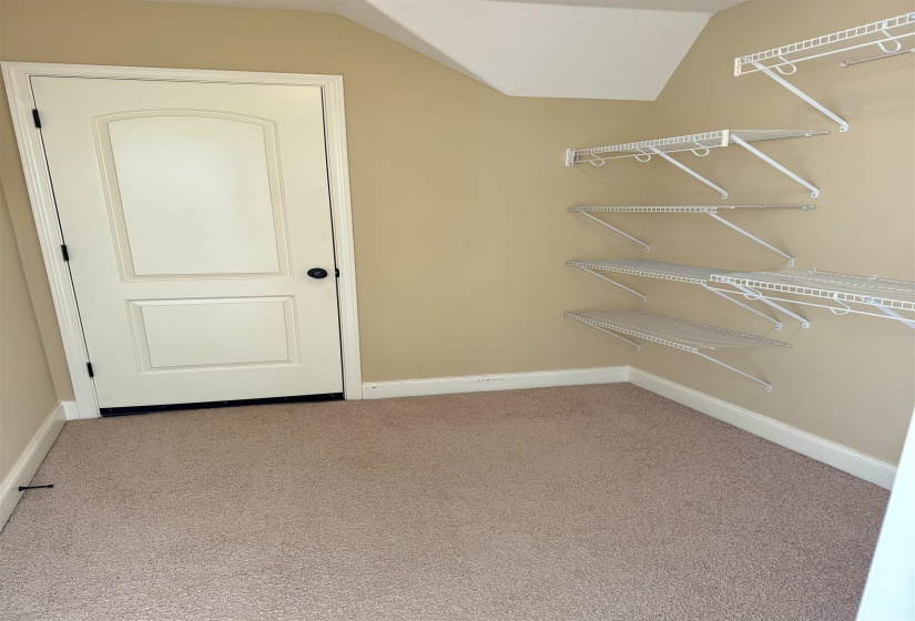 Walk in closet featuring light colored carpet