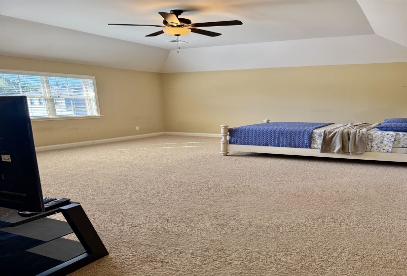 Carpeted bedroom with lofted ceiling and a ceiling fan