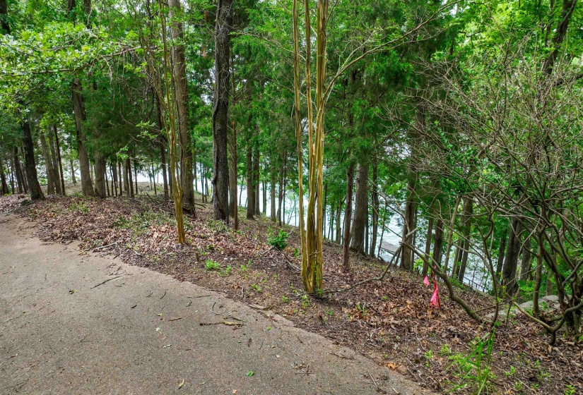 2 POINT GRAND DR, Savannah, Tennessee 38372, ,Land,For Sale,POINT GRAND,10205088