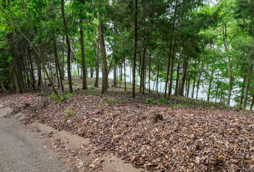 2 POINT GRAND DR, Savannah, Tennessee 38372, ,Land,For Sale,POINT GRAND,10205088