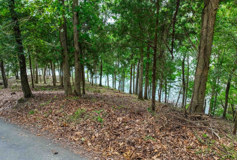 2 POINT GRAND DR, Savannah, Tennessee 38372, ,Land,For Sale,POINT GRAND,10205088