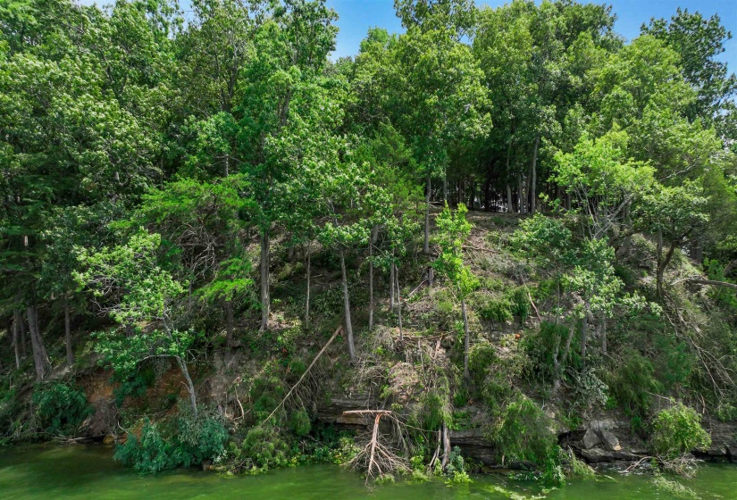 2 POINT GRAND DR, Savannah, Tennessee 38372, ,Land,For Sale,POINT GRAND,10205088