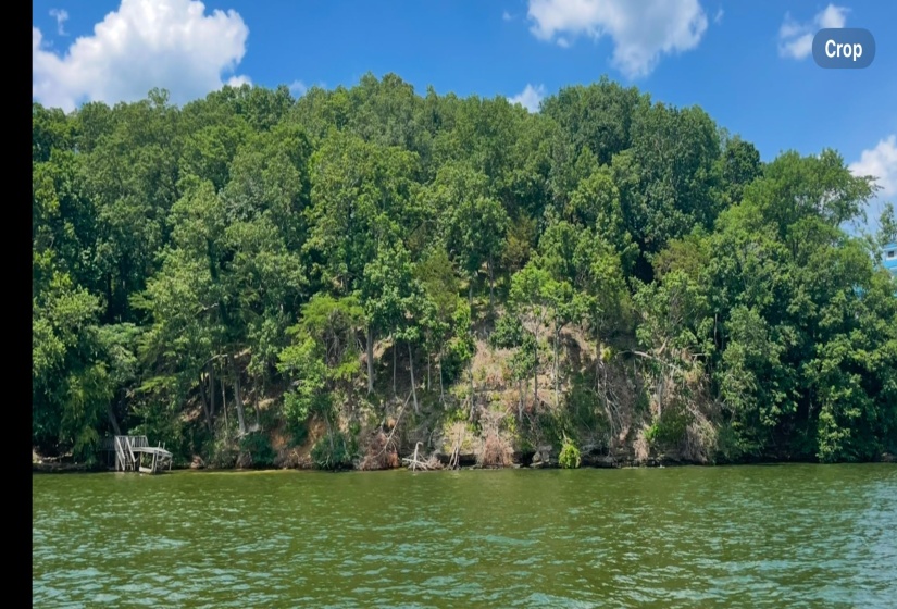 Water view featuring a forest
