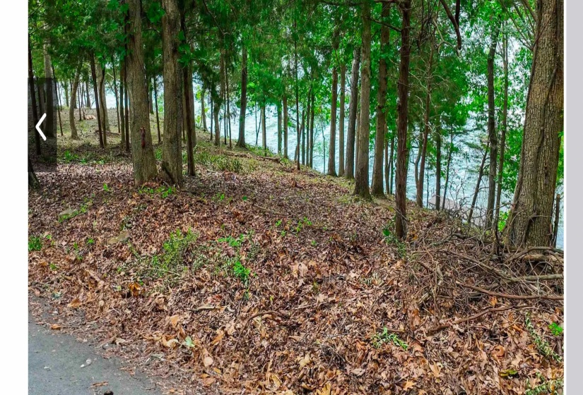 View of undeveloped land