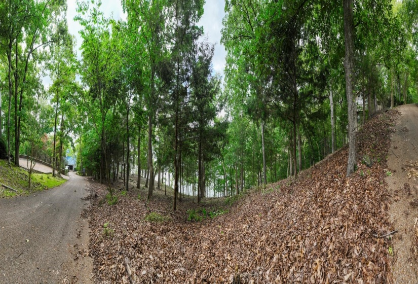 2 POINT GRAND DR, Savannah, Tennessee 38372, ,Land,For Sale,POINT GRAND,10205088