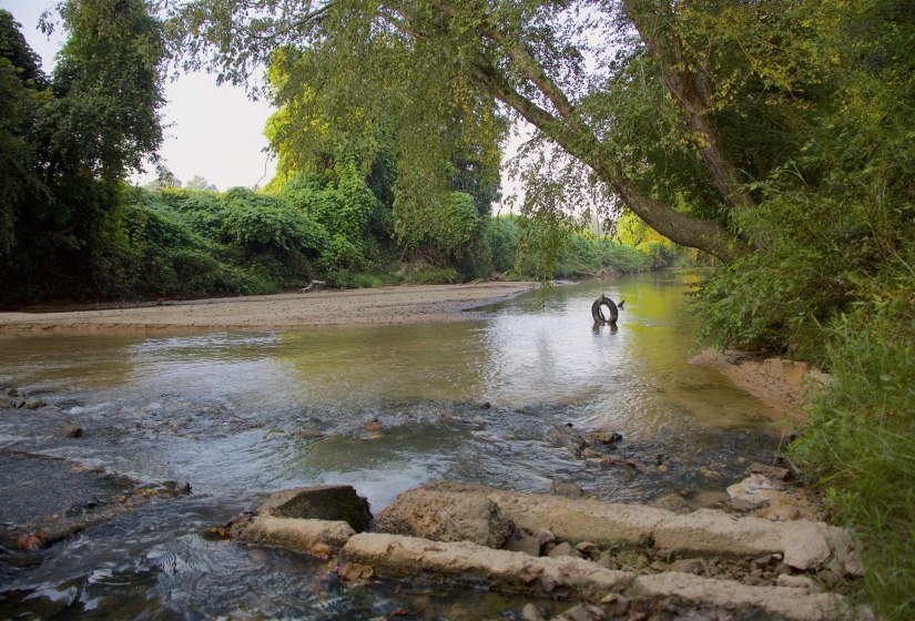 Water view featuring a heavily wooded area