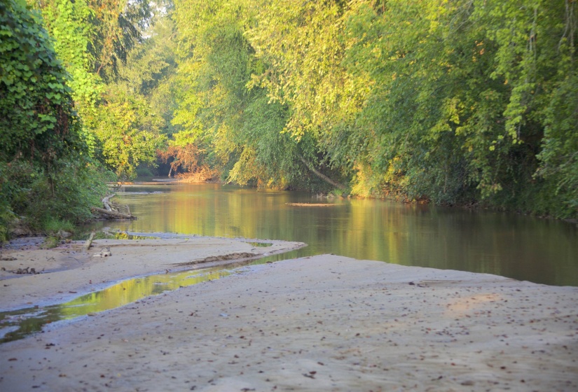 Dock area with a view of trees and a water view