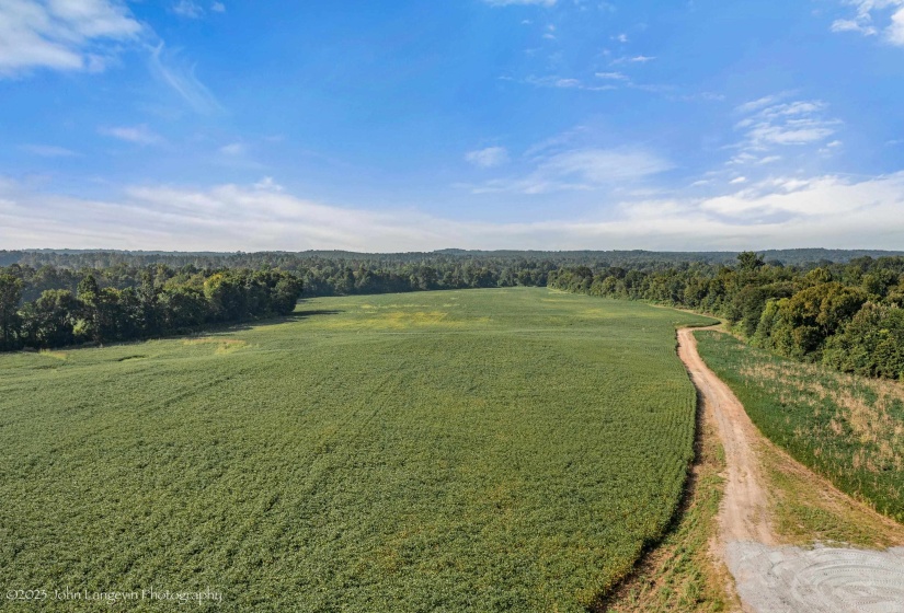 Aerial view of a heavily wooded area