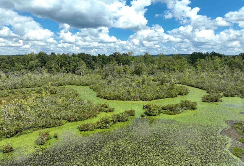View of undeveloped land