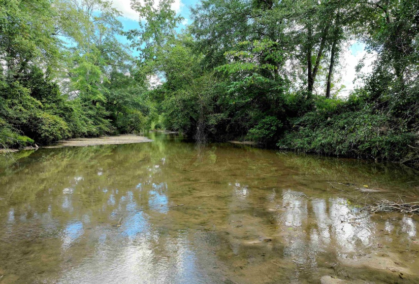 Water view featuring a heavily wooded area