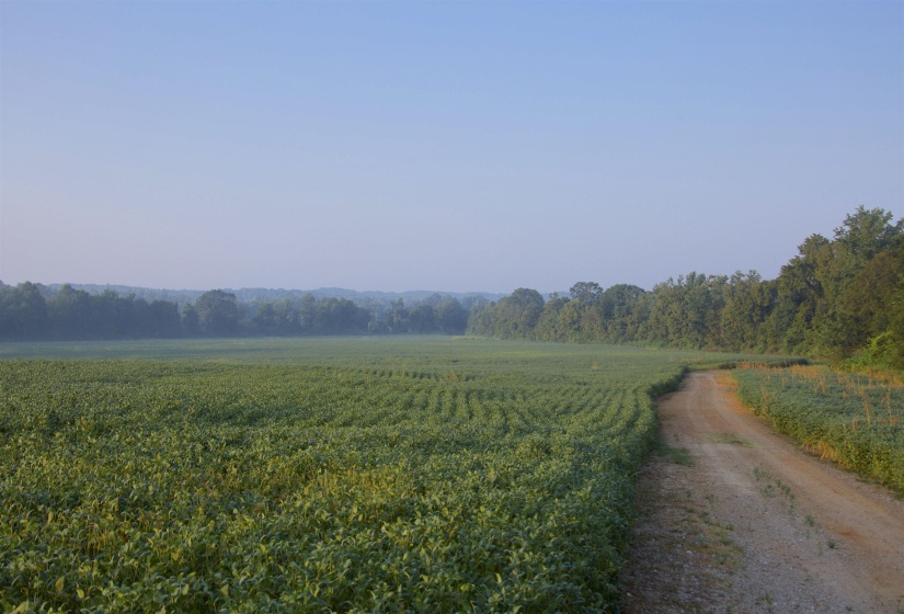 View of street with a rural view and agricultural area