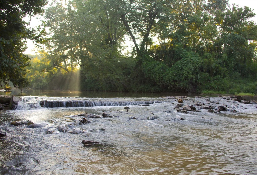 View of yard featuring a water view and a forest view