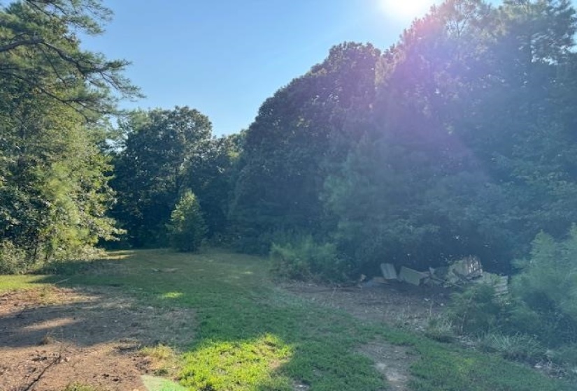 View of tree filled area