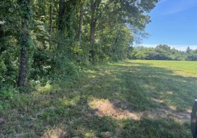 196 BOYD LN, Stanton, Tennessee 38069, ,Land,For Sale,BOYD,10205221