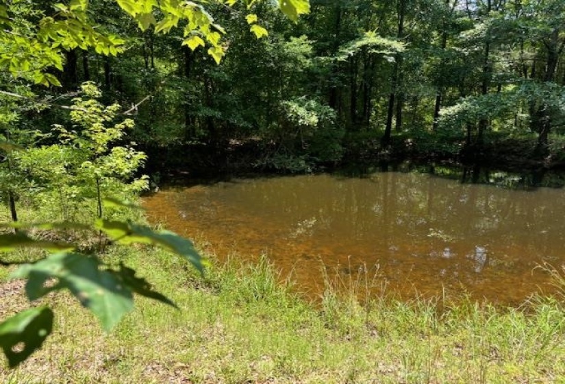 View of nature featuring a water view