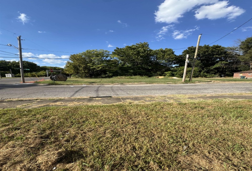 View of asphalt street featuring street lighting and view of scattered trees