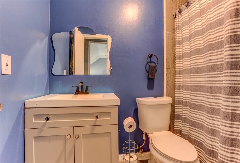 Bathroom featuring vanity and a shower with shower curtain