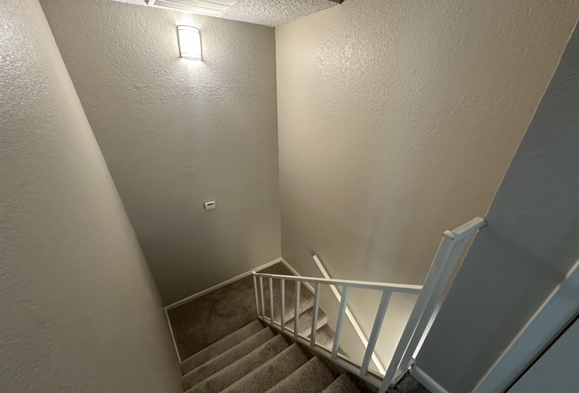 Stairway featuring carpet flooring and a textured wall