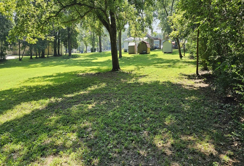 View of green lawn featuring a shed and view of scattered trees