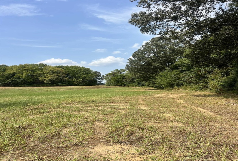 View of yard with a view of rural / pastoral area