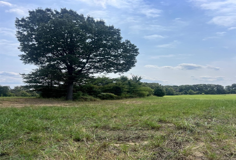 View of nature with rural landscape