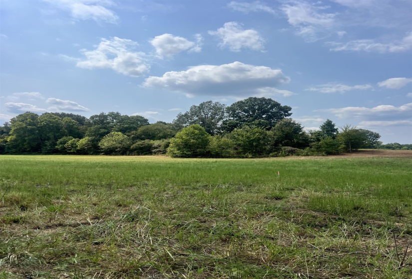 View of nature with rural landscape