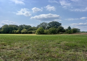 TRACT 6 ANDREW RD, Unincorporated, Tennessee 38049, ,Land,For Sale,ANDREW,10205558 TRACT 6 ANDREW RD, Unincorporated, Tennessee 38049, ,Land,For Sale,ANDREW,10205558