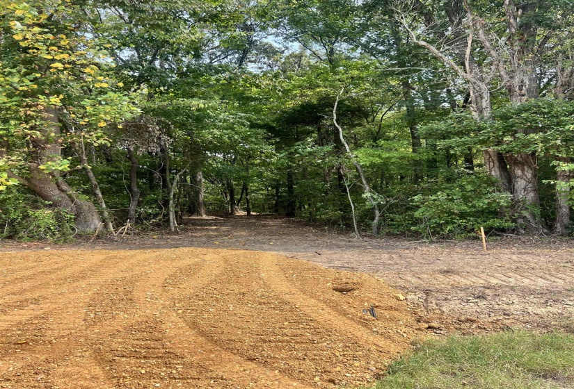 View of dirt / gravel road