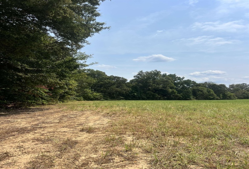 View of wooded area featuring a view of rural / pastoral area