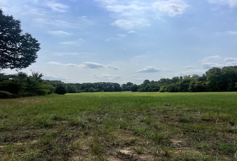View of tree filled area featuring a view of countryside