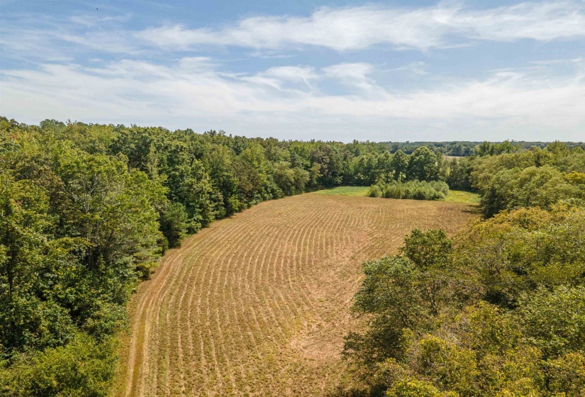 Aerial view of sparsely populated area with farmland and a forest