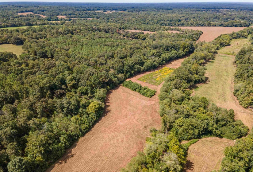 Aerial view of sparsely populated area