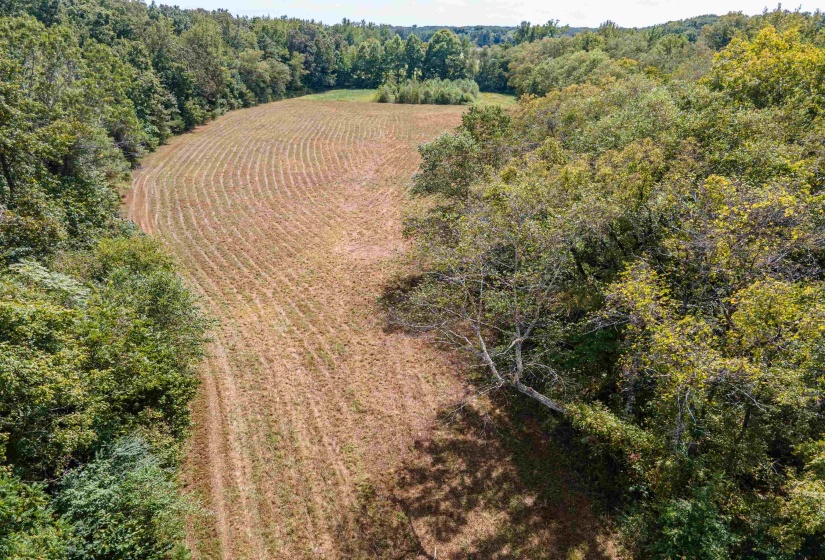 View of rural area with a forest and extensive farmland